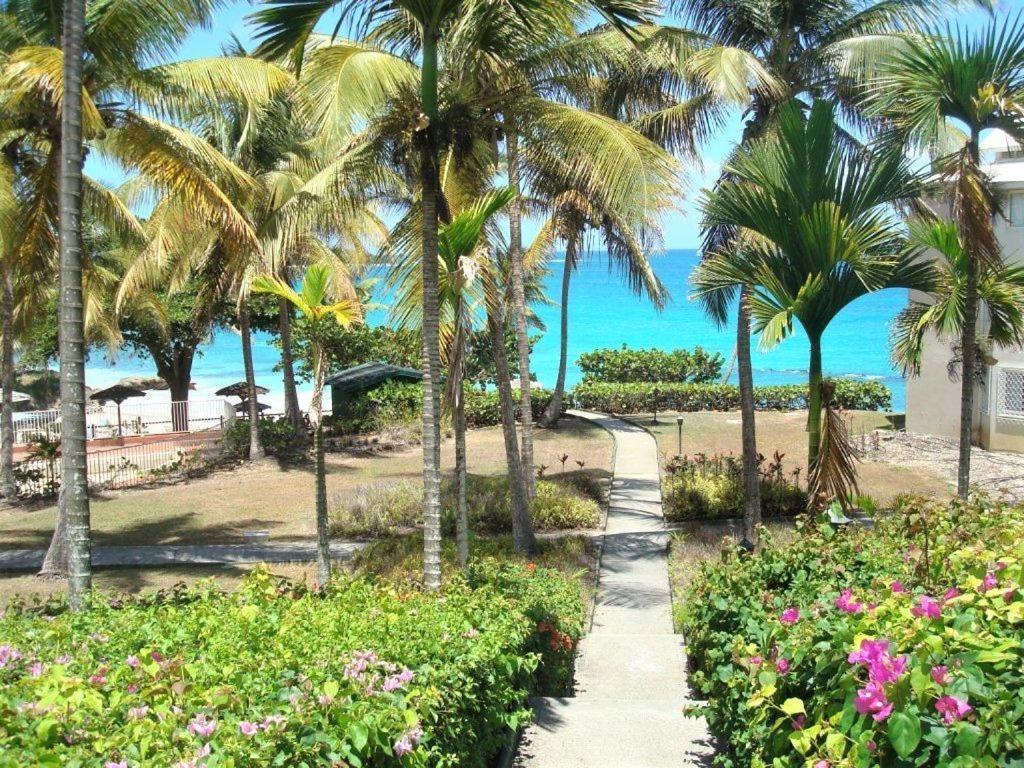 Ilet Bleu Studio Cosy Rdc Vue Mer Et Jardin - Acces Direct Plage Le Gosier (Grande-Terre) Exterior foto
