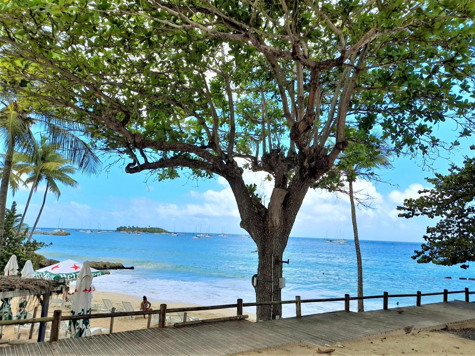 Ilet Bleu Studio Cosy Rdc Vue Mer Et Jardin - Acces Direct Plage Le Gosier (Grande-Terre) Exterior foto